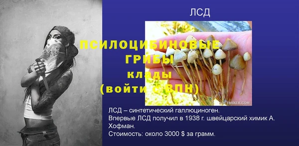 прущие крисы Баксан