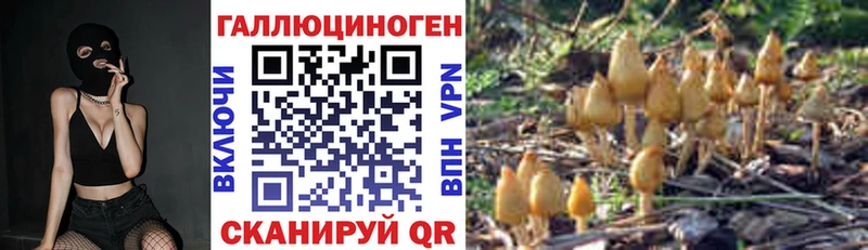 Псилоцибиновые грибы мицелий купить наркотик блэк спрут ссылка Новая Ляля
